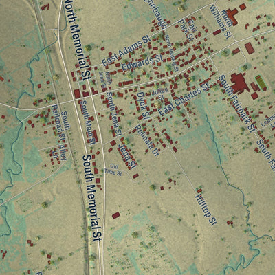 Close-up of the map of Riesel, Texas print showing street and building detail