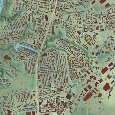 Close-up of the map of Chicopee, Massachusetts print showing street and building detail