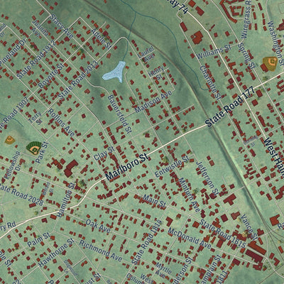 Close-up of the map of Hamlet, North Carolina print showing street and building detail