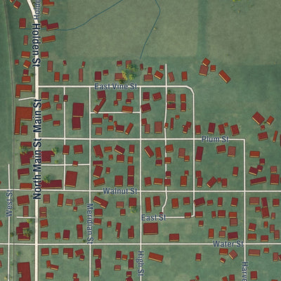 Close-up of the map of Linden, Indiana print showing street and building detail