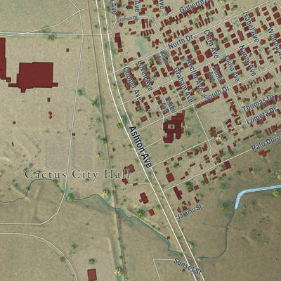 Close-up of the map of Cactus, Texas print showing street and building detail