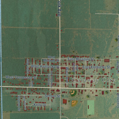 Close-up of the map of Caraway, Arkansas print showing street and building detail