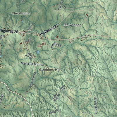 Close-up of the map of Cusseta-Chattahoochee County, Georgia print showing street and building detail