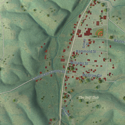 Close-up of the map of Anderson, Alabama print showing street and building detail