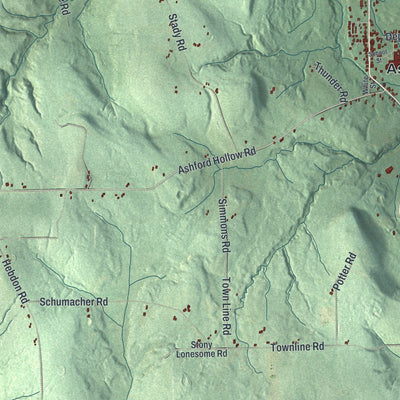 Close-up of the map of Ashford, New York print showing street and building detail