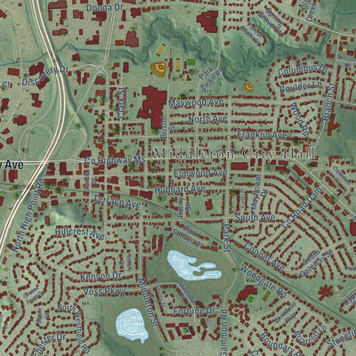 Close-up of the map of Middleton, Wisconsin print showing street and building detail