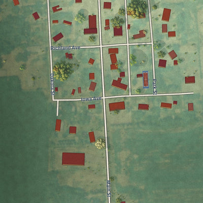 Close-up of the map of Barney, North Dakota print showing street and building detail