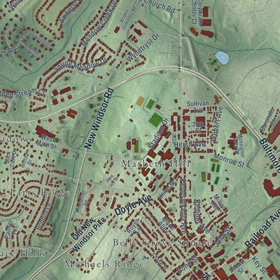 Close-up of the map of Westminster, Maryland print showing street and building detail