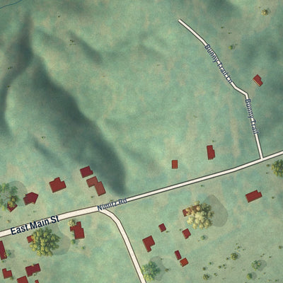 Close-up of the map of Smyrna, South Carolina print showing street and building detail
