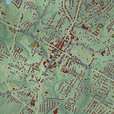 Close-up of the map of York, South Carolina print showing street and building detail
