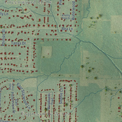 Close-up of the map of Greenwood, Louisiana print showing street and building detail