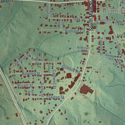 Close-up of the map of Brundidge, Alabama print showing street and building detail