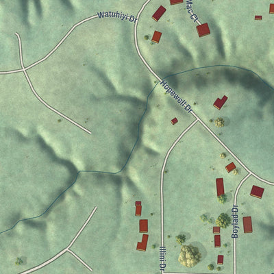 Close-up of the map of Hopewell, Illinois print showing street and building detail