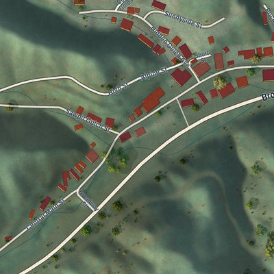 Close-up of the map of Central City, South Dakota print showing street and building detail