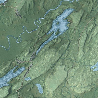 Close-up of the map of Theresa, New York print showing street and building detail