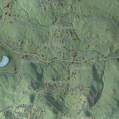 Close-up of the map of Winhall, Vermont print showing street and building detail