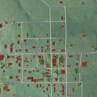 Close-up of the map of Carney, Oklahoma print showing street and building detail