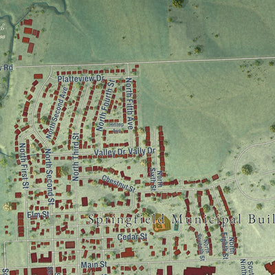 Close-up of the map of Springfield, Nebraska print showing street and building detail