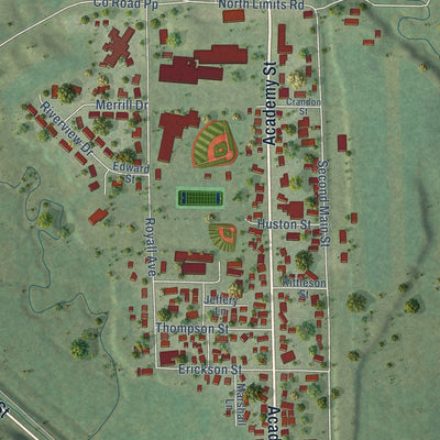 Close-up of the map of Elroy, Wisconsin print showing street and building detail
