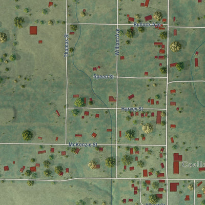 Close-up of the map of North City, Illinois print showing street and building detail