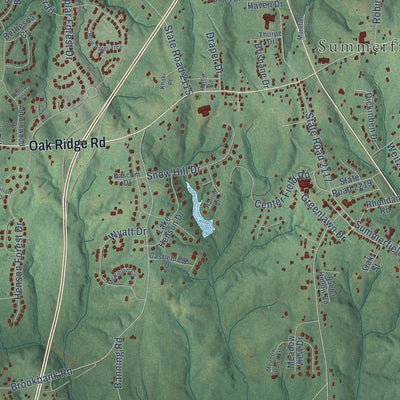 Close-up of the map of Summerfield, North Carolina print showing street and building detail