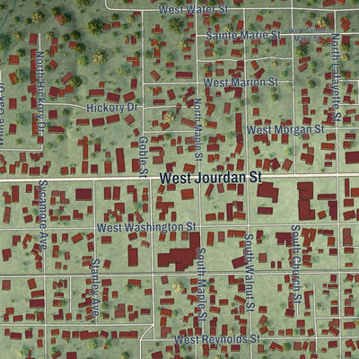 Close-up of the map of Newton, Illinois print showing street and building detail