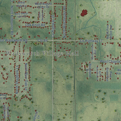 Close-up of the map of Wadsworth, Illinois print showing street and building detail