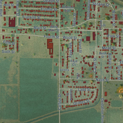 Close-up of the map of Lake City, Arkansas print showing street and building detail