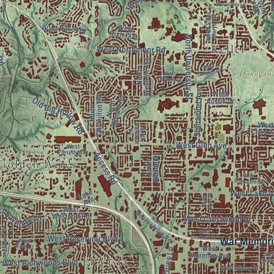 Close-up of the map of Peoria, Illinois print showing street and building detail
