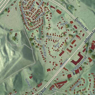 Close-up of the map of Dumfries, Virginia print showing street and building detail
