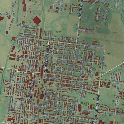 Close-up of the map of Union City, Tennessee print showing street and building detail