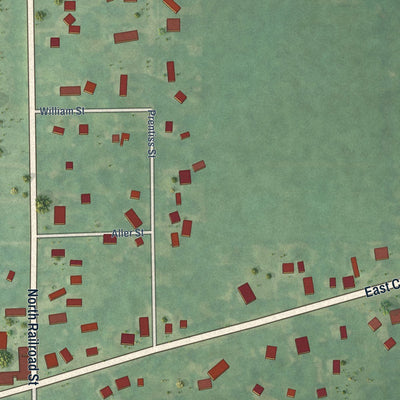 Close-up of the map of Allen, Michigan print showing street and building detail