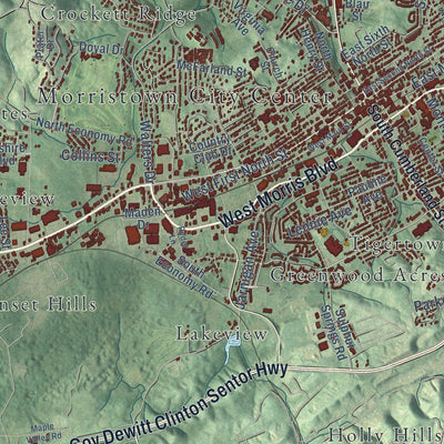 Close-up of the map of Morristown, Tennessee print showing street and building detail