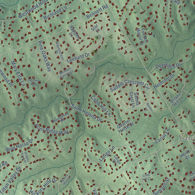 Close-up of the map of Difficult Run, Virginia print showing street and building detail