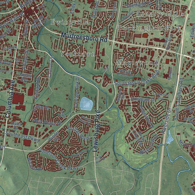 Close-up of the map of Franklin, Tennessee print showing street and building detail