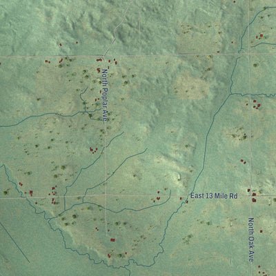 Close-up of the map of Home, Newaygo County, Michigan print showing street and building detail
