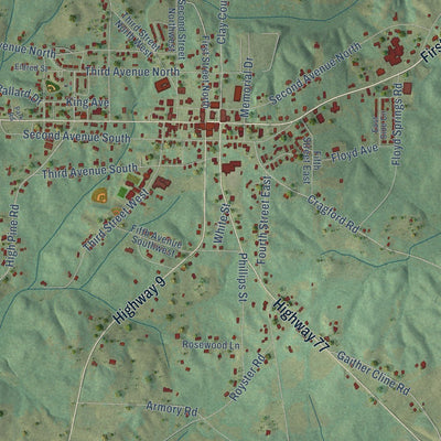 Close-up of the map of Ashland, Alabama print showing street and building detail