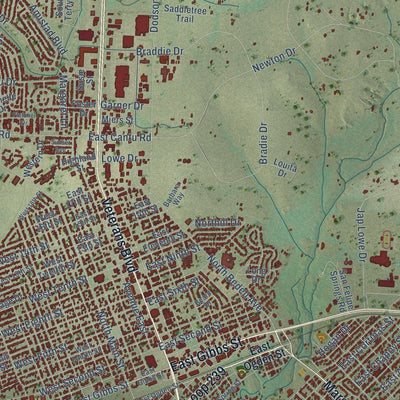 Close-up of the map of Del Rio, Texas print showing street and building detail