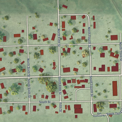 Close-up of the map of Staplehurst, Nebraska print showing street and building detail