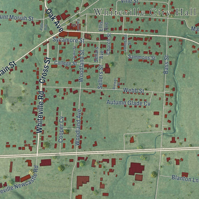Close-up of the map of Whiteville, Tennessee print showing street and building detail