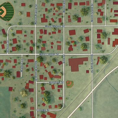 Close-up of the map of Bellflower, Illinois print showing street and building detail