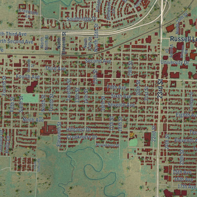 Close-up of the map of Canyon, Texas print showing street and building detail