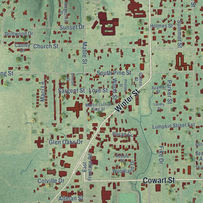 Close-up of the map of Lucedale, Mississippi print showing street and building detail