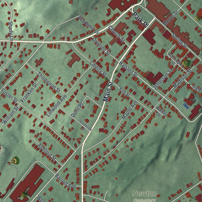 Close-up of the map of Newton, New Jersey print showing street and building detail