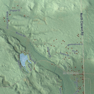Close-up of the map of Franklin, Clare County, Michigan print showing street and building detail