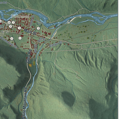 Close-up of the map of Gorham, New Hampshire print showing street and building detail