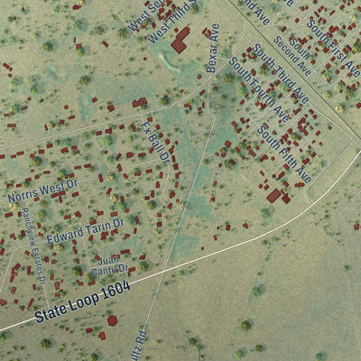 Close-up of the map of Elmendorf, Texas print showing street and building detail