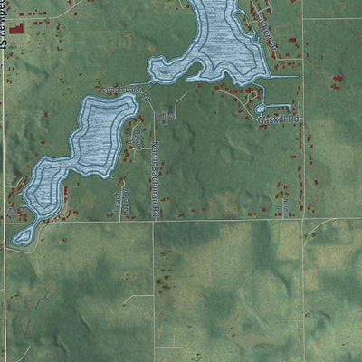 Close-up of the map of Carlton, Michigan print showing street and building detail