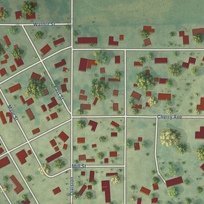 Close-up of the map of Vergennes, Illinois print showing street and building detail