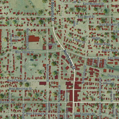 Close-up of the map of Dodgeville, Wisconsin print showing street and building detail
